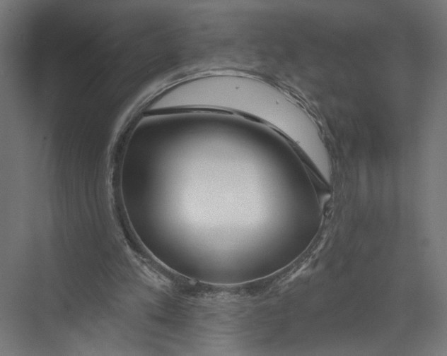 X0000075340197200610061703