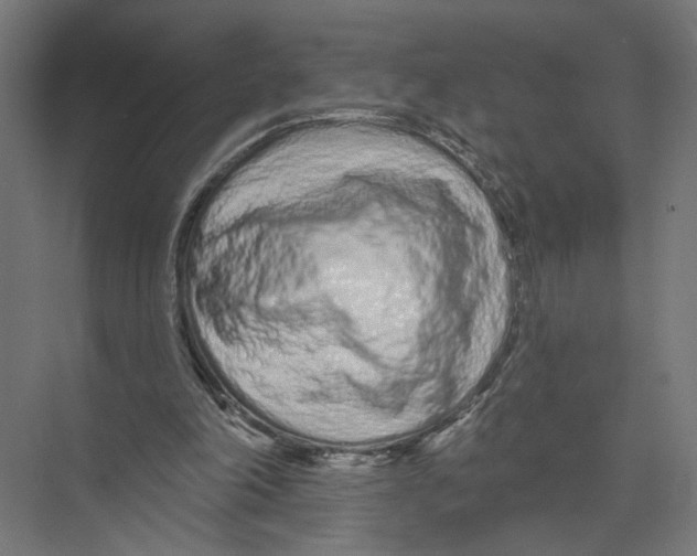 X0000075340198200610061703