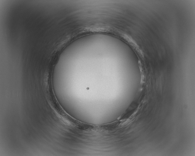 X0000075340201200610061703