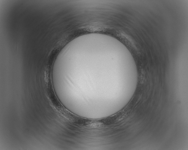 X0000075340210200610061703