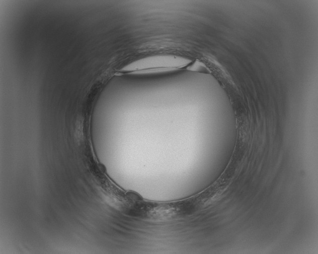 X0000075340213200610061703