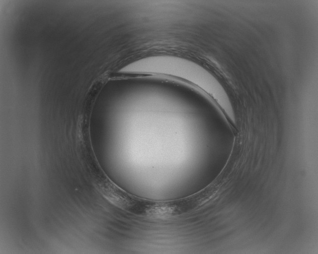 X0000075340217200610061703