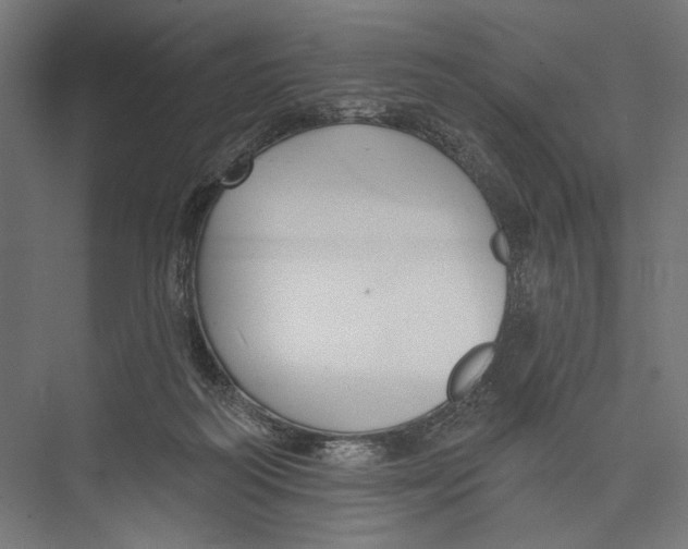 X0000075340218200610061703