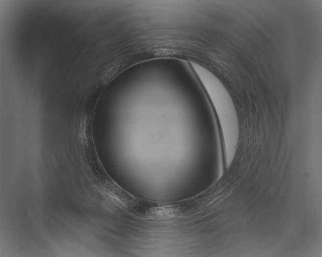 X0000075340219200610061703