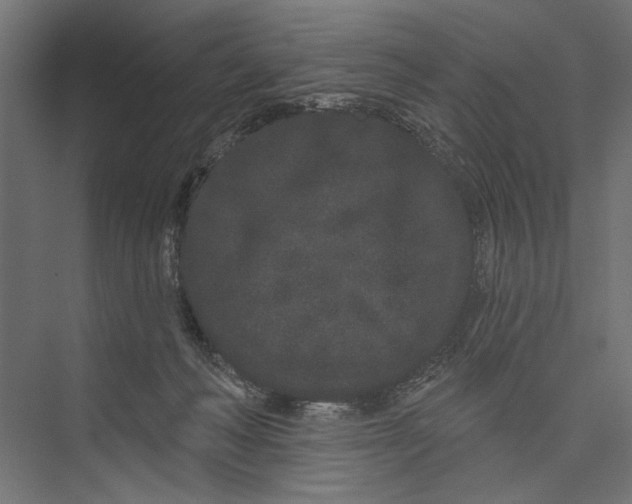 X0000075340222200610061703