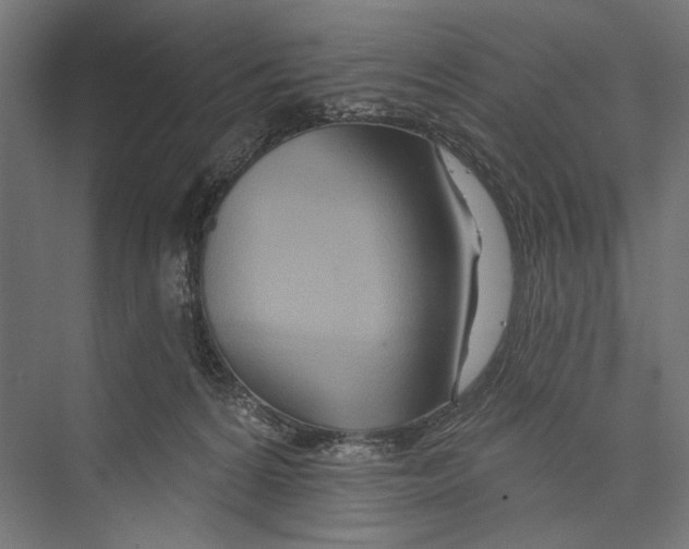 X0000075340224200610061703