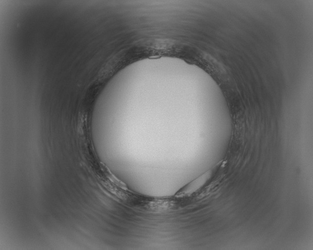 X0000075340225200610061703