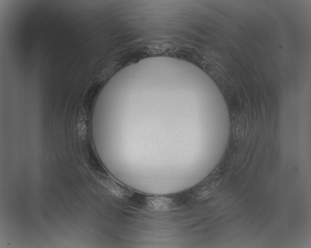X0000075340226200610061703