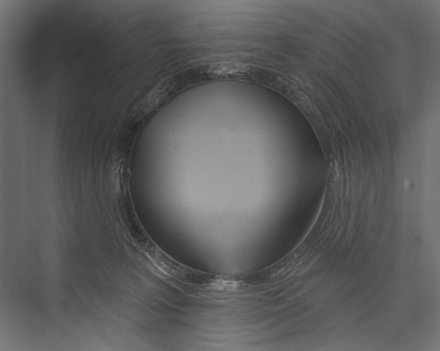 X0000075340227200610061703