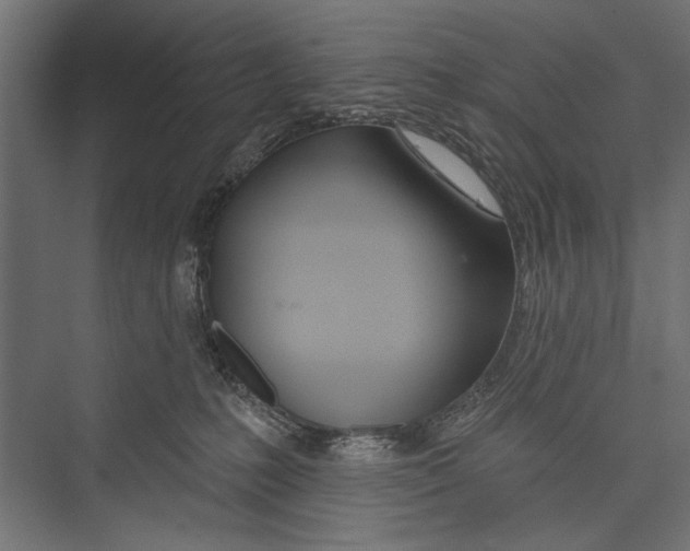 X0000075340231200610061703