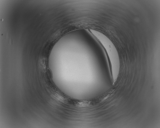 X0000075340232200610061703