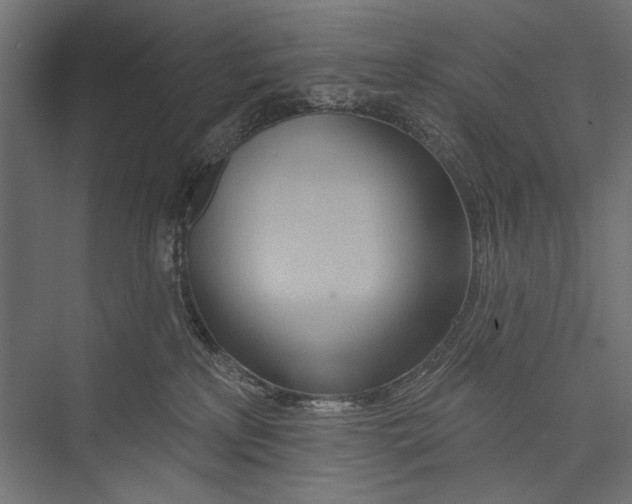 X0000075340233200610061703