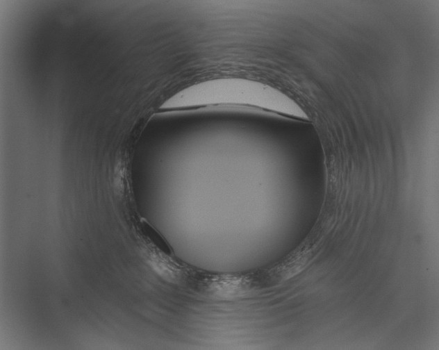 X0000075340235200610061703