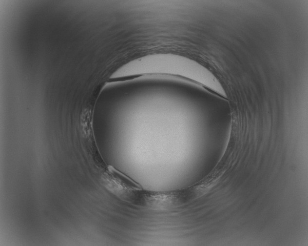 X0000075340237200610061703
