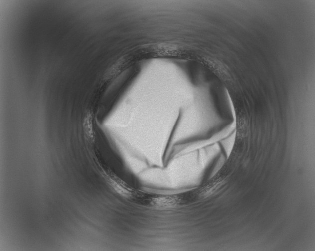 X0000075340238200610061703