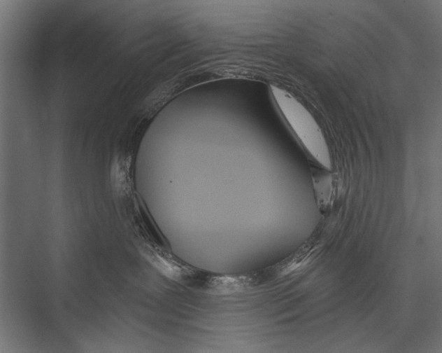 X0000075340239200610061703