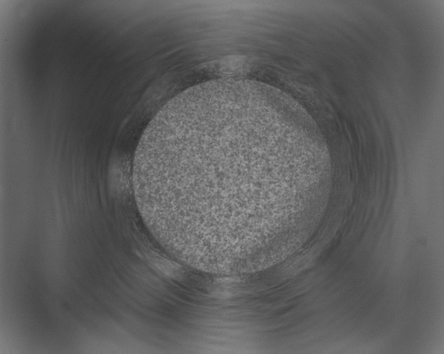 X0000075340240200610061703