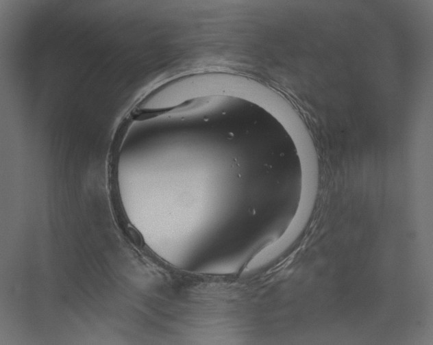 X0000075340244200610061702