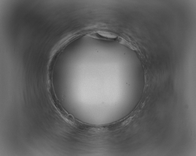 X0000075340245200610061702