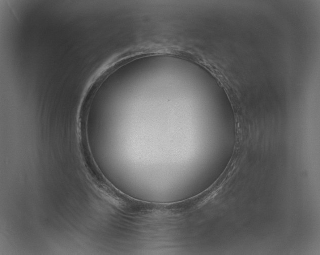 X0000075340246200610061702