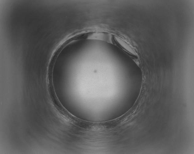 X0000075340248200610061702