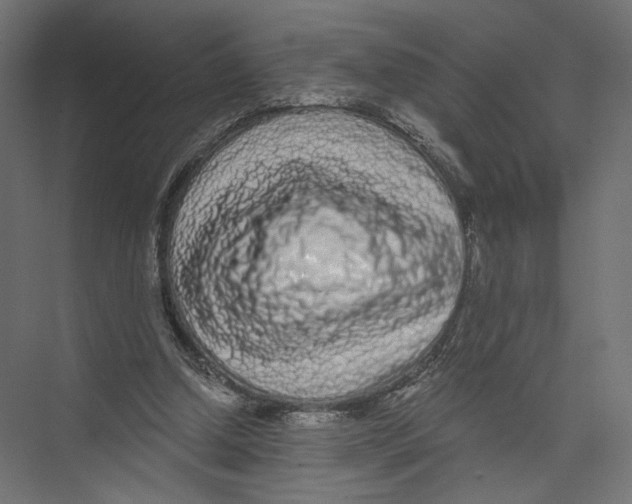 X0000075340250200610061702