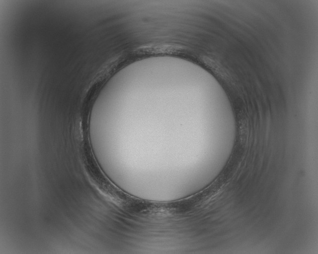 X0000075340254200610061702