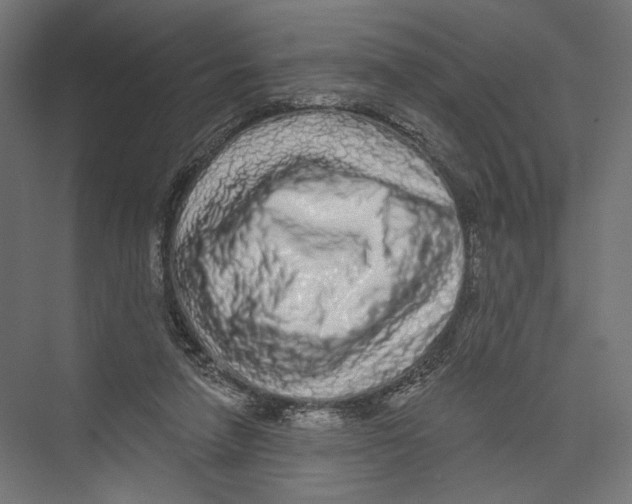 X0000075340258200610061702
