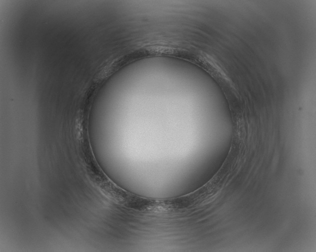 X0000075340259200610061702