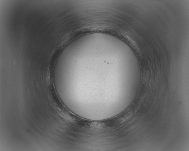 X0000075340261200610061702