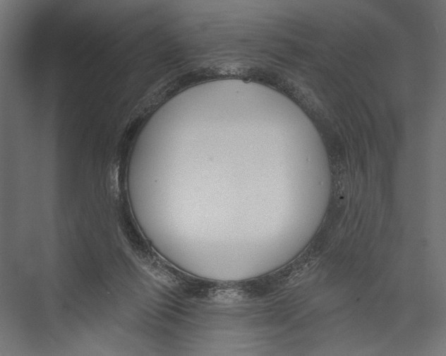 X0000075340262200610061702