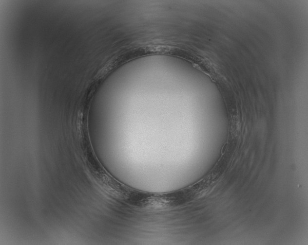 X0000075340263200610061702