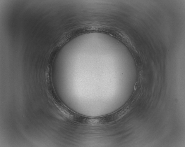 X0000075340265200610061702