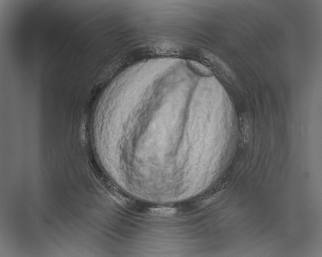 X0000075340266200610061702
