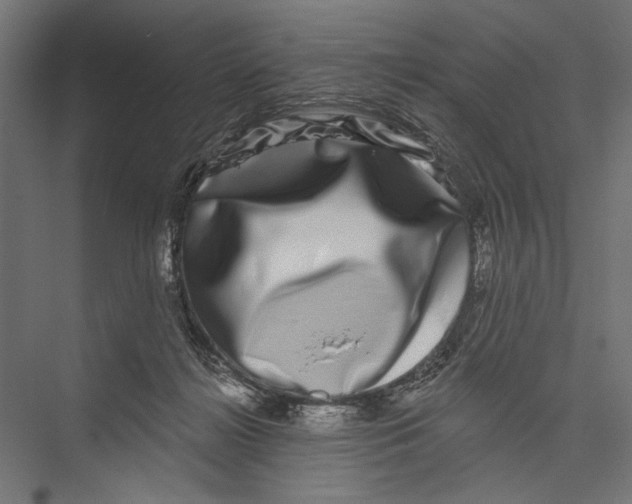 X0000075340268200610061702