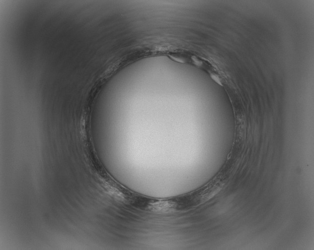X0000075340269200610061702