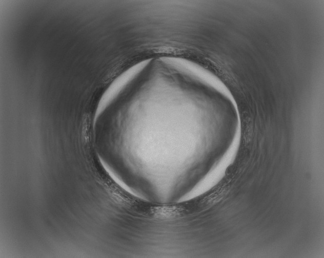 X0000075340273200610061702