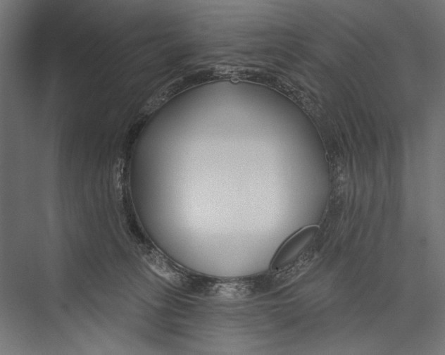 X0000075340275200610061702