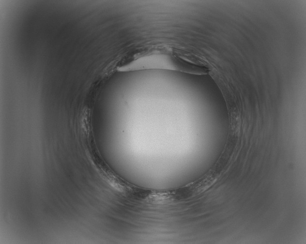 X0000075340280200610061703