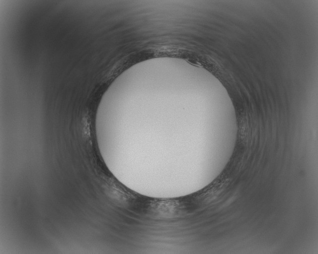 X0000075340282200610061703