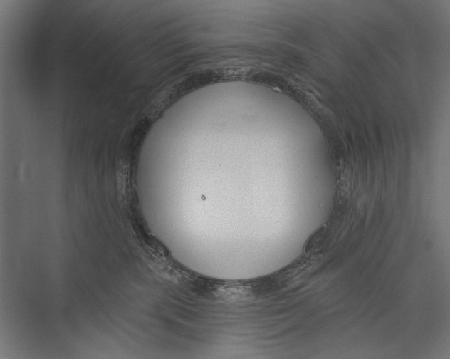 X0000075340283200610061703