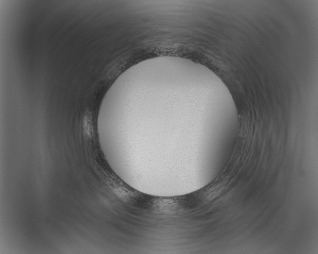 X0000075340287200610061703