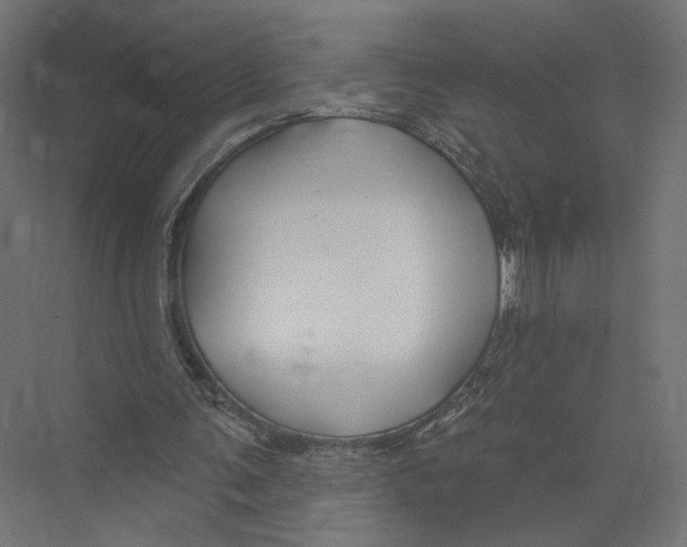 X0000075340291200610061702