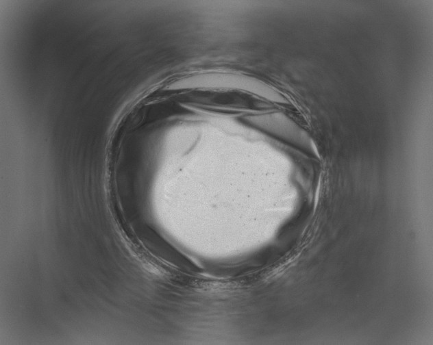 X0000075340293200610061702