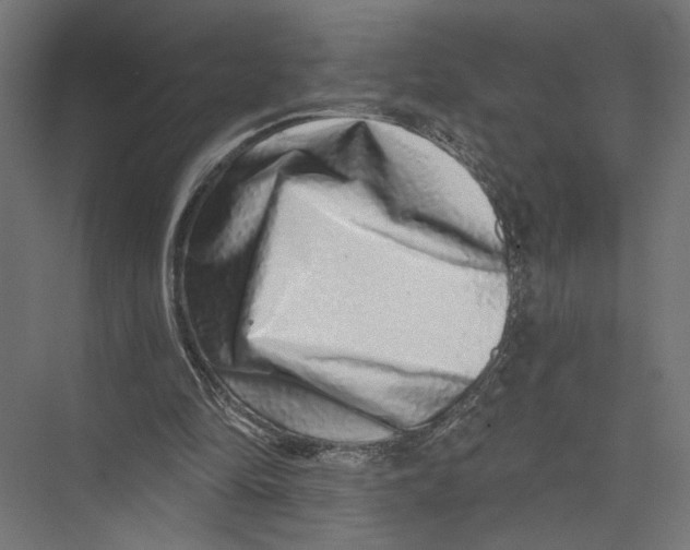 X0000075340294200610061702