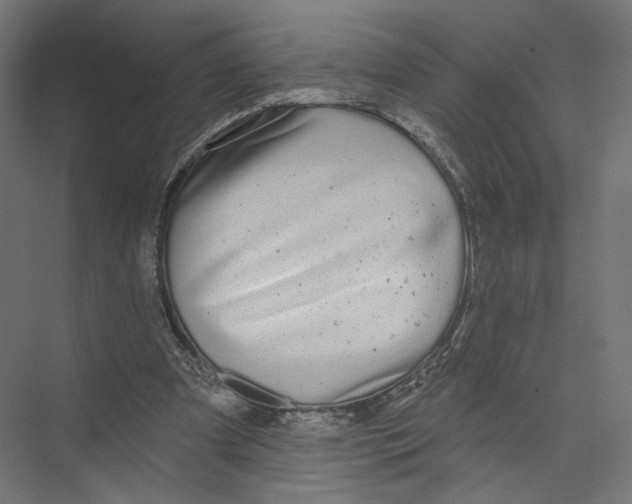 X0000075340297200610061702