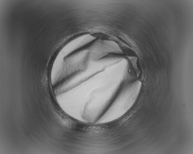 X0000075340298200610061702
