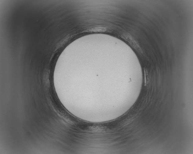 X0000075340300200610061702