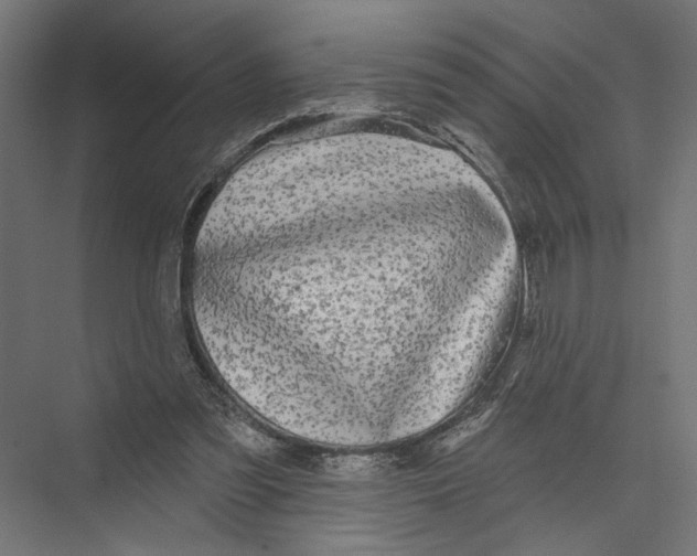 X0000075340301200610061702
