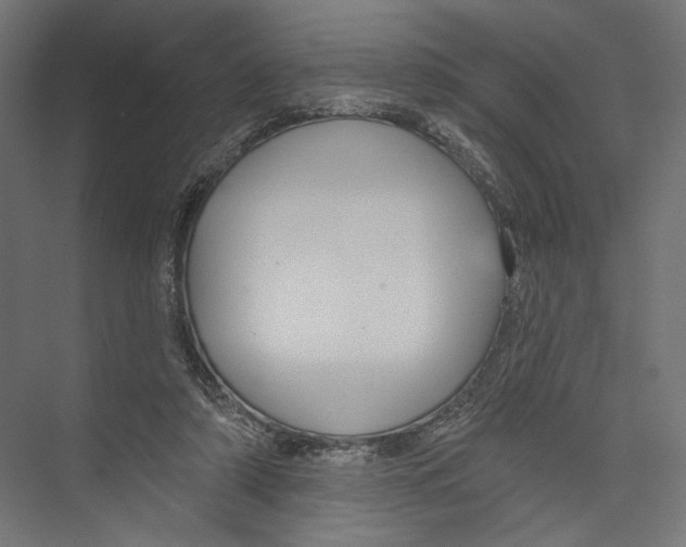 X0000075340306200610061702